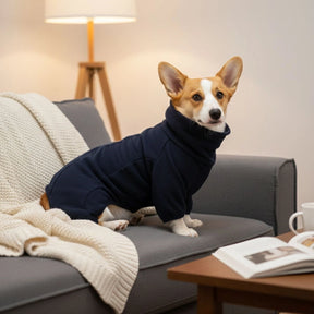 Combinaison polaire pour chien – Chaleur confortable et intégrale pour temps froid