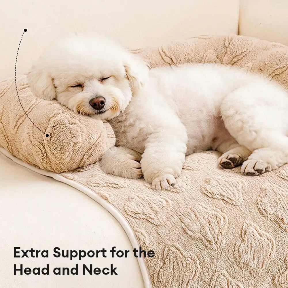 Housse de canapé en velours fleuri multi-usages, anti-dérapante, tapis pour chien.