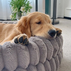 Lit oval pour chien en peluche épaisse réconfortante et chaleureuse