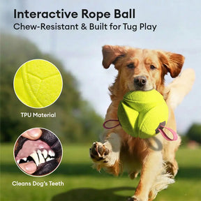 Jouet de chien flottant en forme de football avec des sangles
