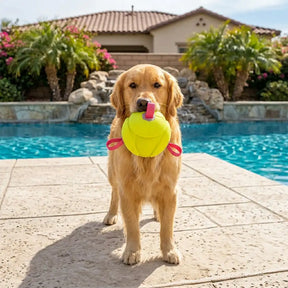 Jouet de chien flottant en forme de football avec des sangles