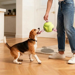 Jouet de chien flottant en forme de football avec des sangles