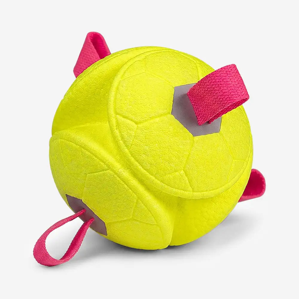 Jouet de chien flottant en forme de football avec des sangles