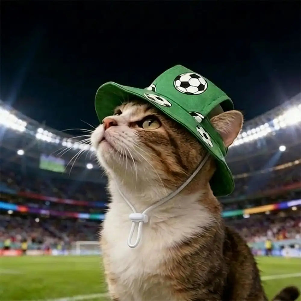 Chapeau pour animal de compagnie à motif de football