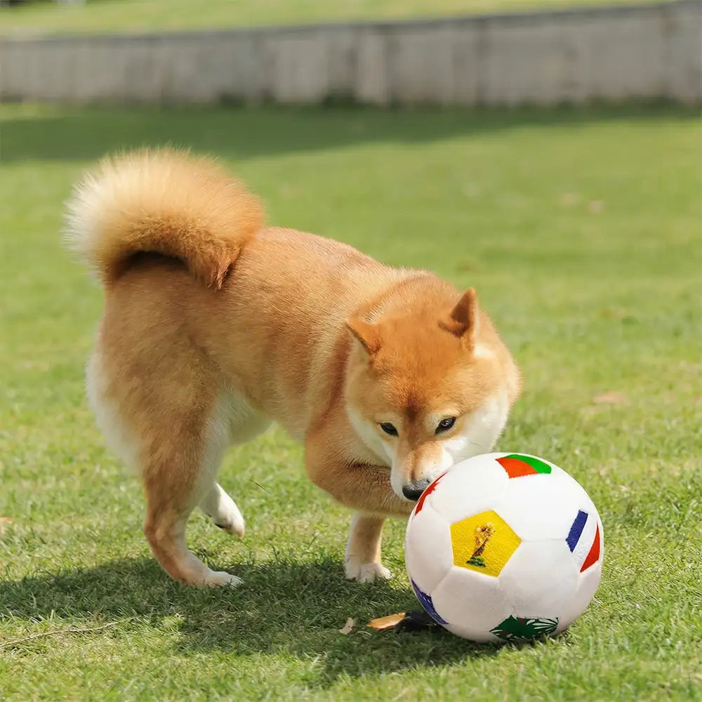 Coussin en peluche de football Jouets pour Chien