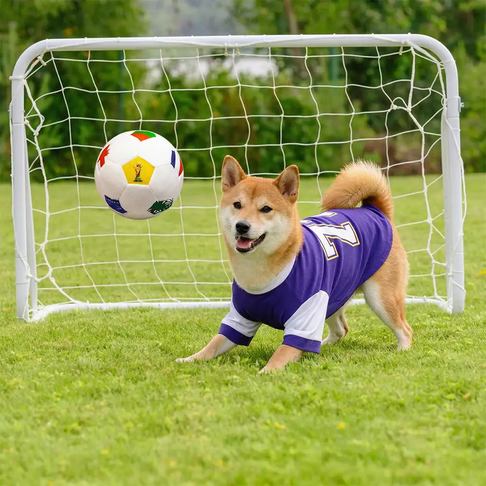 Coussin en peluche de football Jouets pour Chien