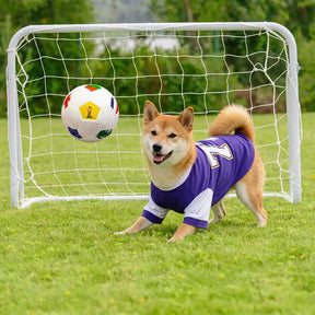 Coussin en peluche de football Jouets pour Chien