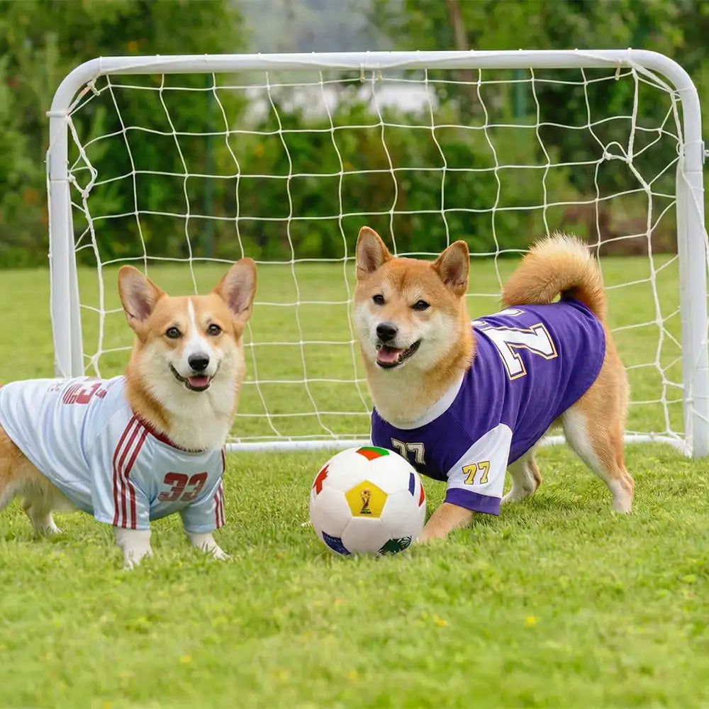 Coussin en peluche de football Jouets pour Chien