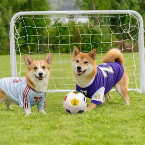 Coussin en peluche de football Jouets pour Chien