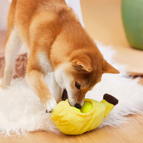 Jouet interactif pour chien balle de tennis avec zone pour cacher de la nourriture et à mâcher pour chiots