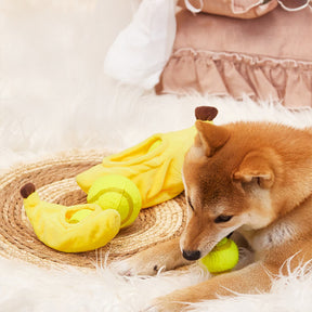 Jouet interactif pour chien balle de tennis avec zone pour cacher de la nourriture et à mâcher pour chiots