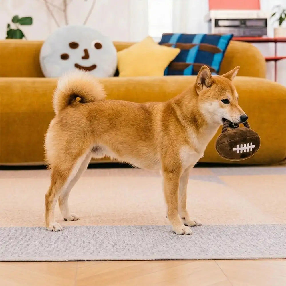 Jouets à mâcher en corde pour chiens Fun Balls