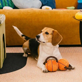 Jouets à mâcher en corde pour chiens Fun Balls