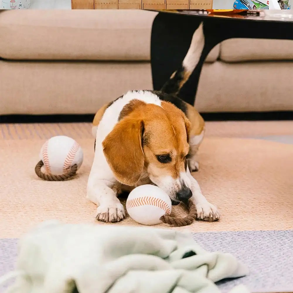 Jouets à mâcher en corde pour chiens Fun Balls