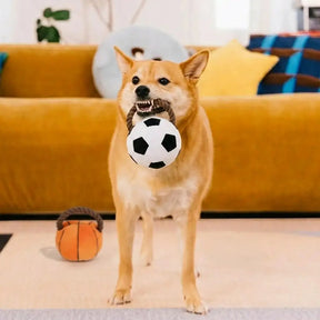 Jouets à mâcher en corde pour chiens Fun Balls