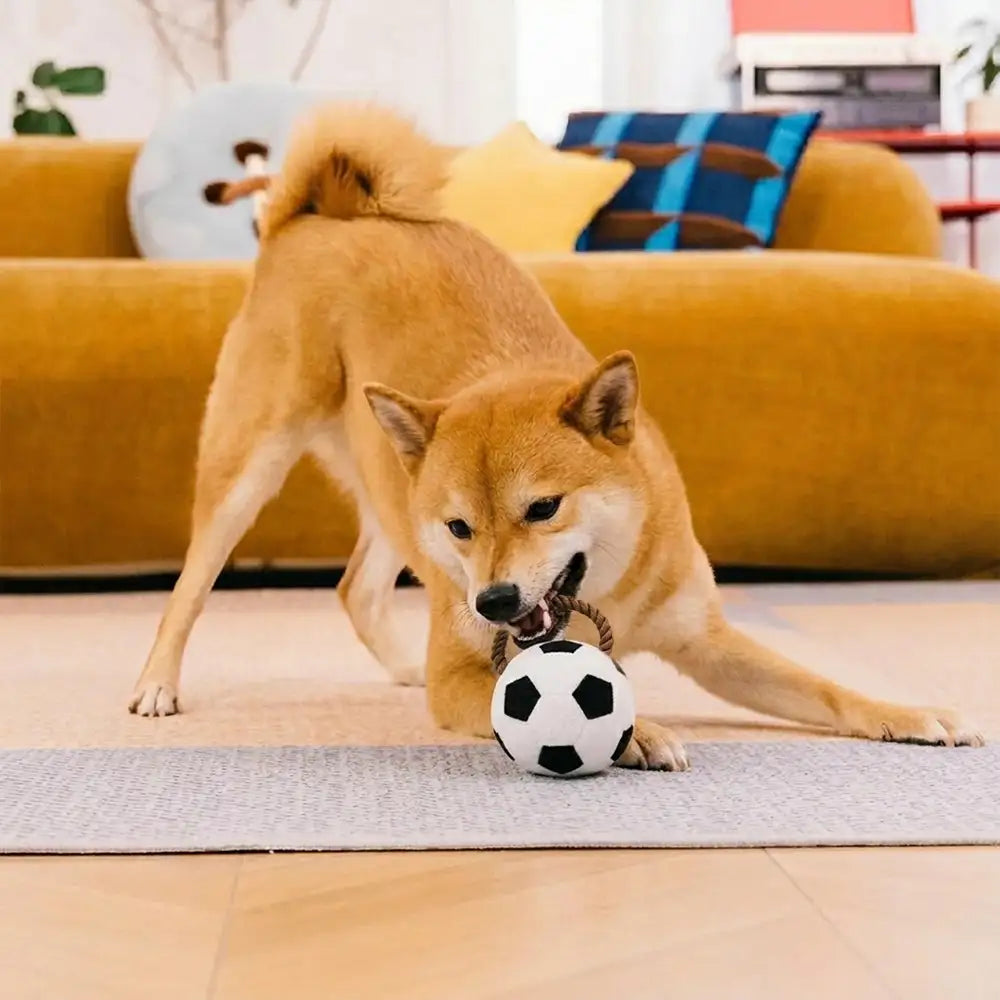 Jouets à mâcher en corde pour chiens Fun Balls