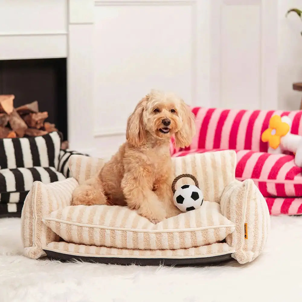 Jouets à mâcher en corde pour chiens Fun Balls
