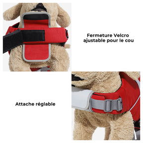 Gilet de sauvetage pour chien - Maître-nageur