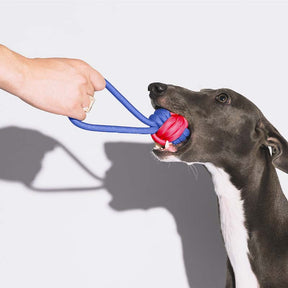 Jouet à Tirer en Corde pour Chien - Clash de Couleurs