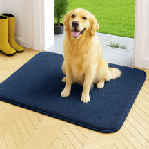 Tapis de porte pour animaux en peluche épaisse absorbant et résistant à la boue pour pattes sales