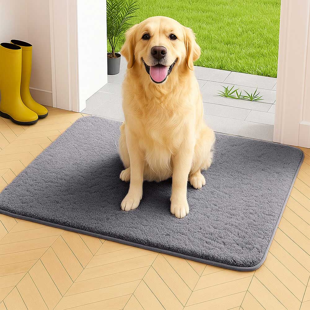 Tapis de porte pour animaux en peluche épaisse absorbant et résistant à la boue pour pattes sales