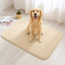 Tapis de porte pour animaux en peluche épaisse absorbant et résistant à la boue pour pattes sales