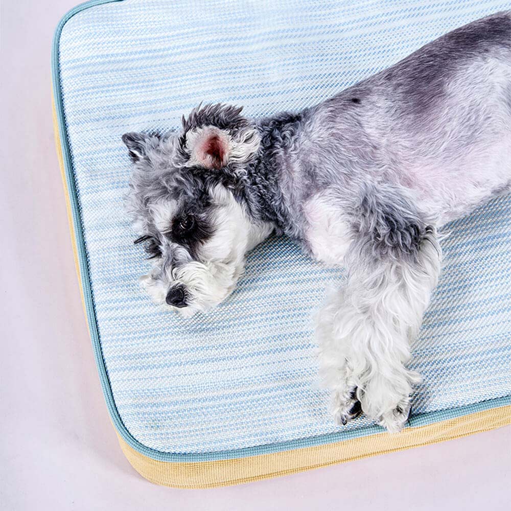 Lit orthopédique pour chien toutes saisons respirant avec doublure imperméable et coussin confortable