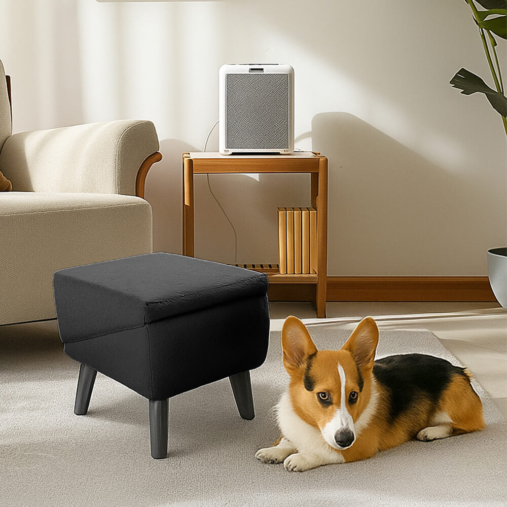 Rampe pour chien 2 en 1 en bois convertible avec marchepied pour la maison