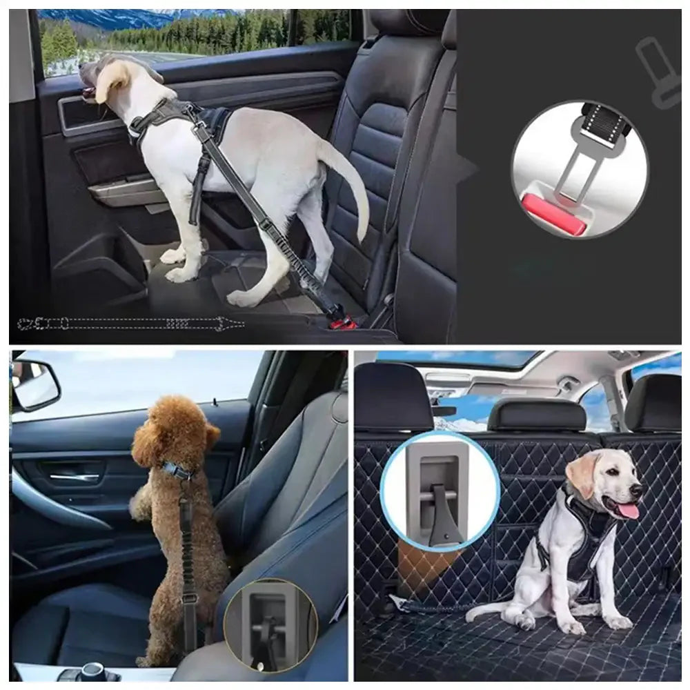 Ceinture de sécurité pour chien 3 en 1 avec bungee, boucle verrouillable à 360° et crochet.