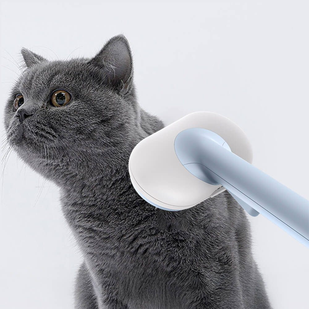 Brosse auto nettoyante 5 en 1 pour chiens et chats kit de toilettage animaux de compagnie