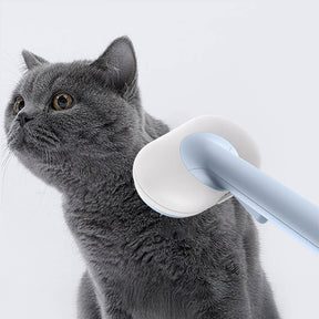 Brosse auto nettoyante 5 en 1 pour chiens et chats kit de toilettage animaux de compagnie