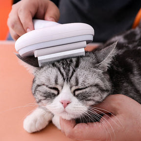 Brosse auto nettoyante 5 en 1 pour chiens et chats kit de toilettage animaux de compagnie