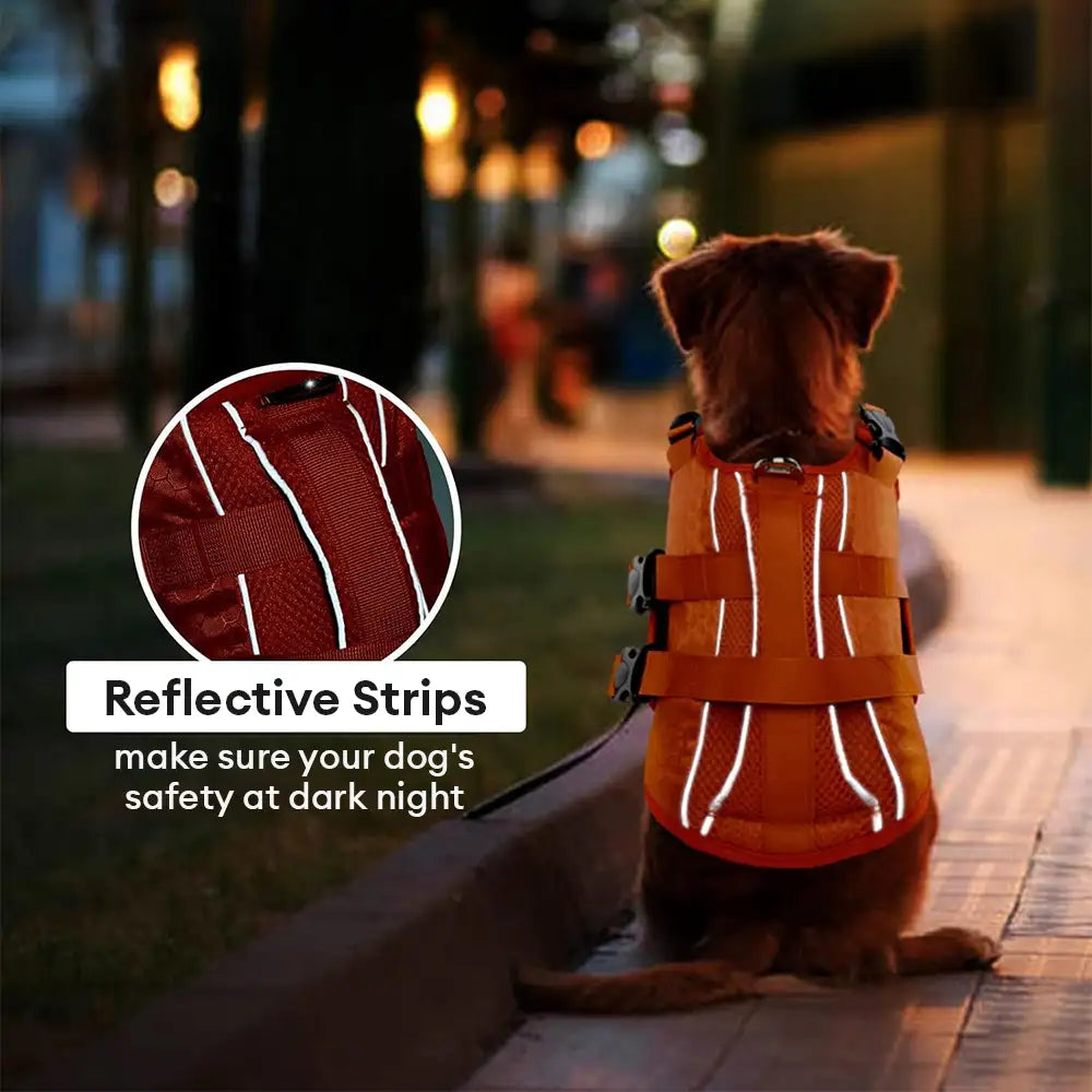 Gilet de sauvetage pour chiens ajustable avec bandes réfléchissantes pour chiens de taille moyenne et grande