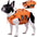 Gilet de sauvetage pour chiens ajustable avec bandes réfléchissantes pour chiens de taille moyenne et grande