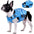 Gilet de sauvetage pour chiens ajustable avec bandes réfléchissantes pour chiens de taille moyenne et grande