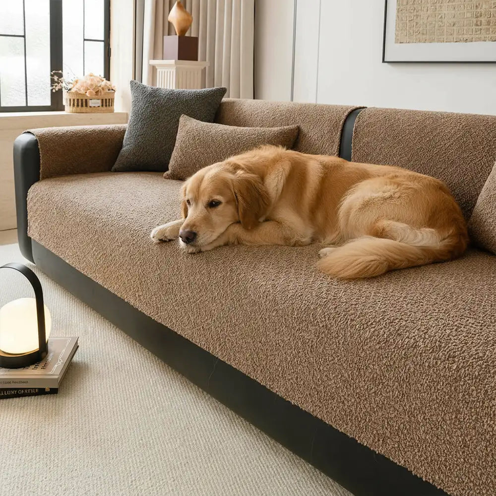 Housse de canapé protégeant contre les rayures en chenille respirante toute saison