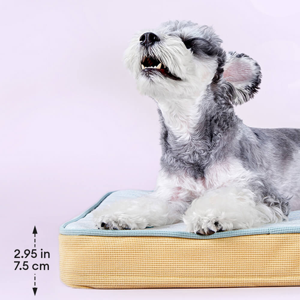 Lit orthopédique pour chien toutes saisons respirant avec doublure imperméable et coussin confortable