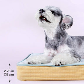 Lit orthopédique pour chien toutes saisons respirant avec doublure imperméable et coussin confortable
