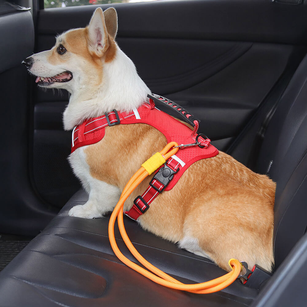 Ceinture de sécurité en nylon pour chien pour voiture anti traction