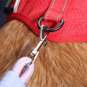 Ceinture de sécurité en nylon pour chien pour voiture anti traction