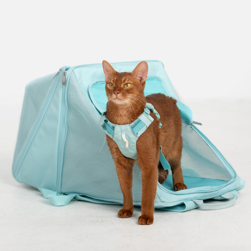 Sac à dos pliable léger en nylon respirant pour chien et chat