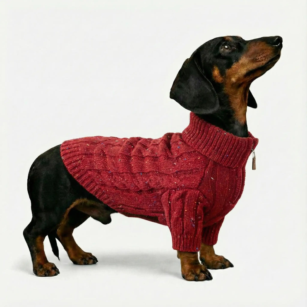 Pull pour chien teckel en tricot torsadé avec col zippé