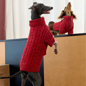 Pull pour chien teckel en tricot torsadé avec col zippé