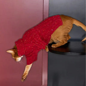 Pull pour chien teckel en tricot torsadé avec col zippé