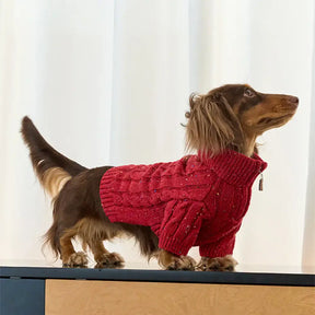 Pull pour chien teckel en tricot torsadé avec col zippé