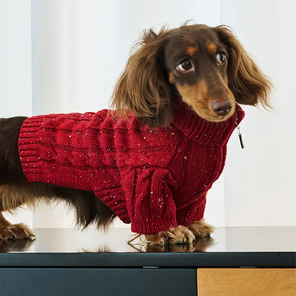 Pull pour chien teckel en tricot torsadé avec col zippé