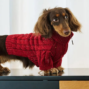 Pull pour chien teckel en tricot torsadé avec col zippé
