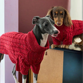 Pull pour chien teckel en tricot torsadé avec col zippé