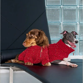 Pull pour chien teckel en tricot torsadé avec col zippé