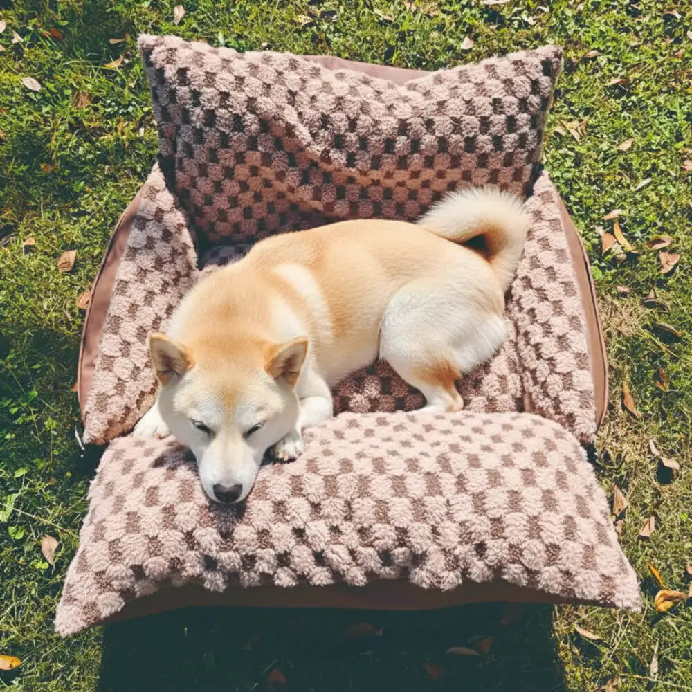 Siège pour animal de compagnie et transporteur 2-en-1 en simili cuir à motif damier avec console de sécurité au centre.